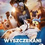 Wyszczekani 2D Dubbing - Kup bilet