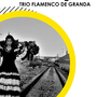 La Bogusha - Trio Flamenco de Granada | KONCERT - Kup bilet