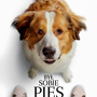 Był sobie pies 2 (2D, dubbing) - Kup bilet