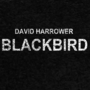 Blackbird - Kup bilet