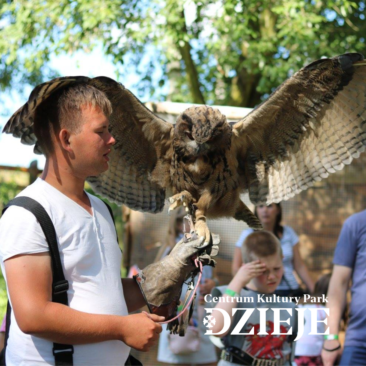 Wejście do parku dziennego