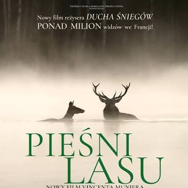 Pieśni lasu
