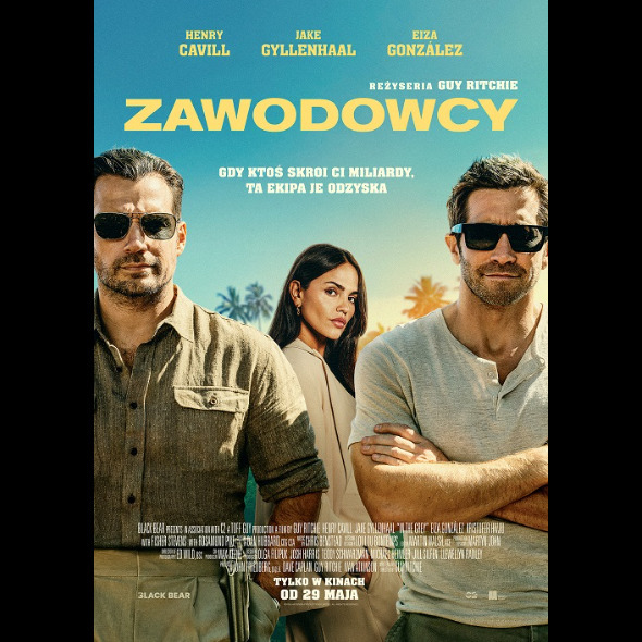 Zawodowcy 2D NAP