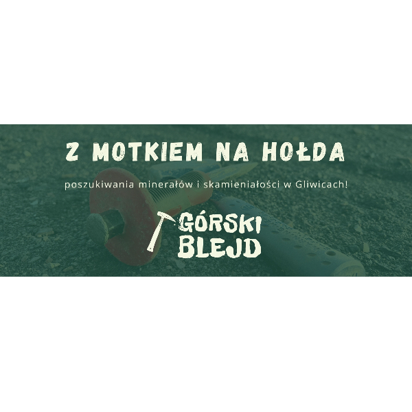 Z motkiem na hołda
