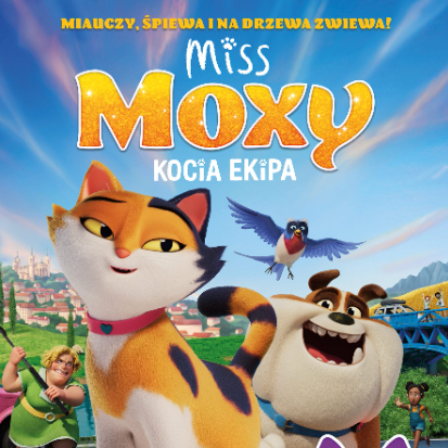 Miss Moxy. Kocia ekipa
