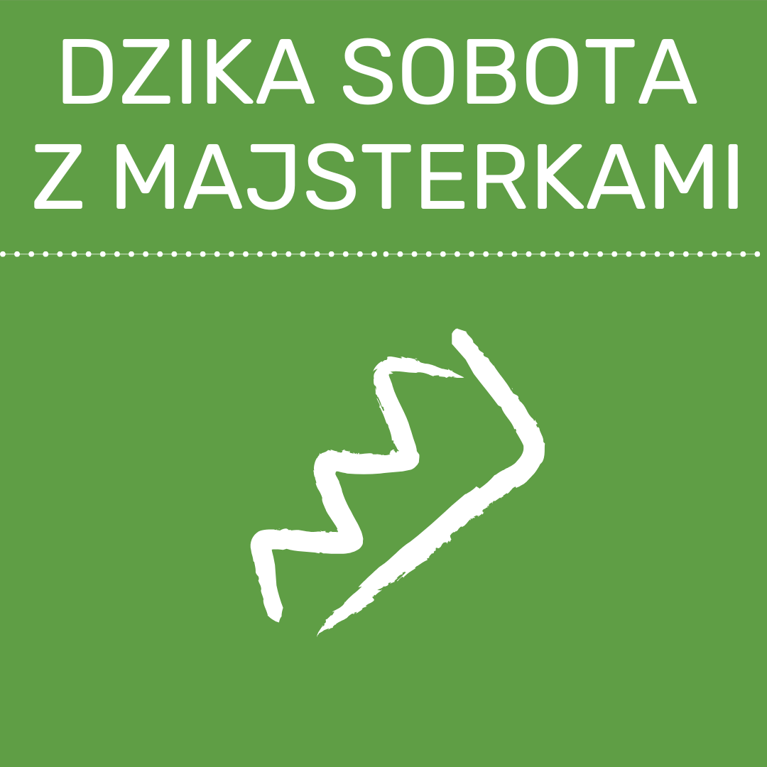 Dzika sobota z Majsterkami