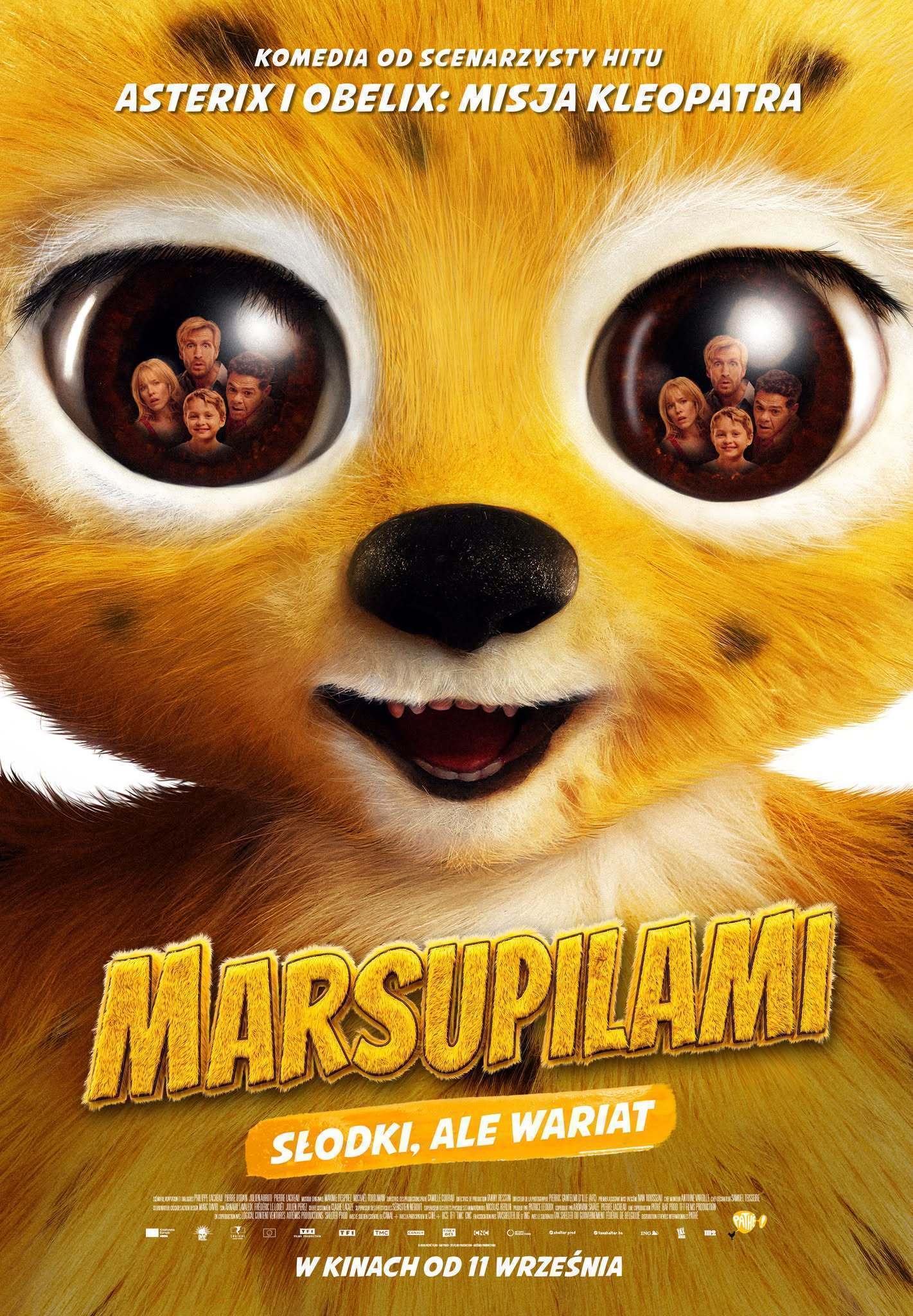 Marsupilami | 7+ | PREMIERA!!!