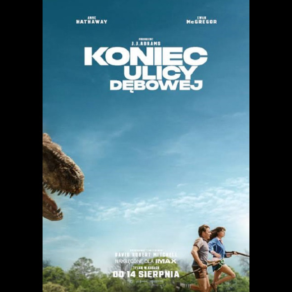 Koniec ulicy Dębowej 2D NAP